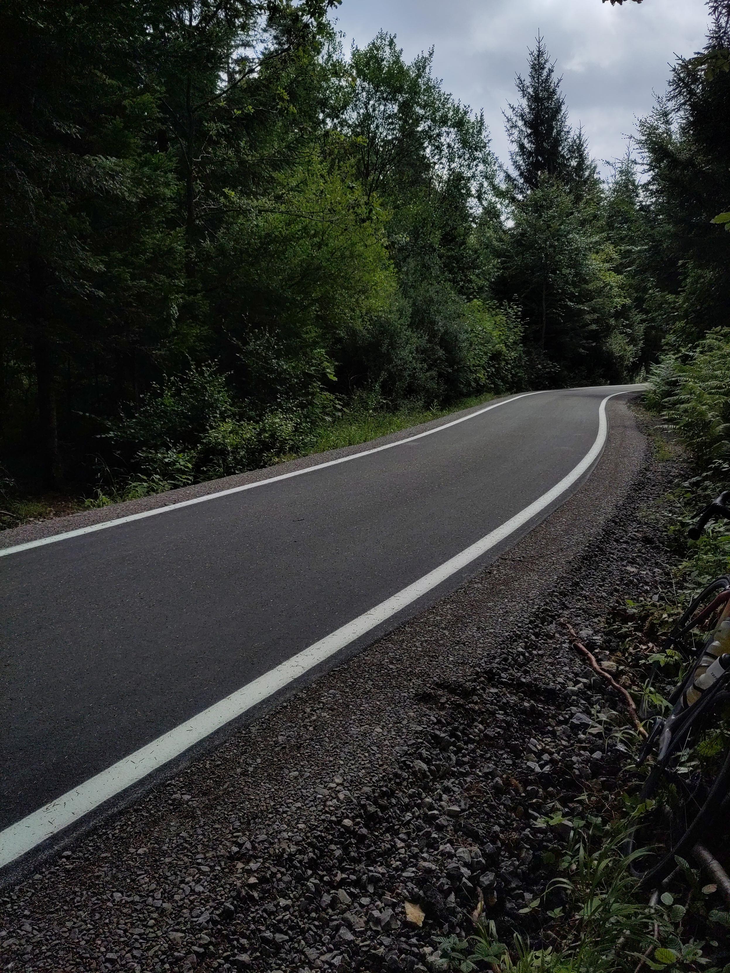 Der neue Radweg an der L574 zwischen Hohenwart und Schellbronn. Ist richtig gut geworden, breit, weiße Seitenmarkierungen, windet sich leciht durch den Wald und liegt etwas abseits der Straße. Als Natenom überfahren wurde war das ein Waldweg in nicht Fahrradtauglichem Zustand.